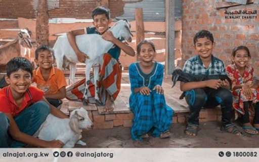 Sheep Farm - Sri Lanka 3 - Al-Najat Charity