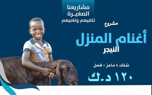 مشروع أغنام المنزل - النيجير - الجمعية الكويتية للعمل الانساني