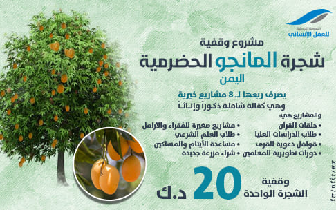 مشروع وقفية شجرة المانجو الحضرمية اليمن - الجمعية الكويتية للعمل الانساني